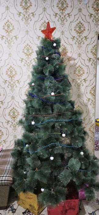 Ёлка сатылады 2.10 таза 1 марте курылган