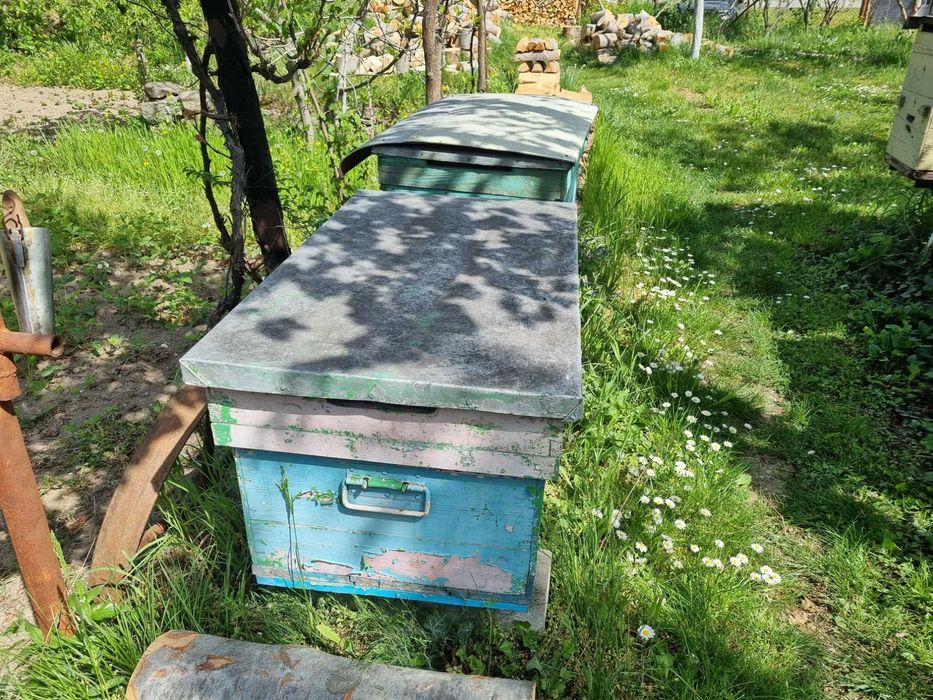 Vand cutii stupi albine