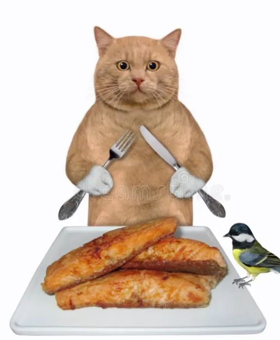 Фарш куриный для кошек, собак и.т.д.