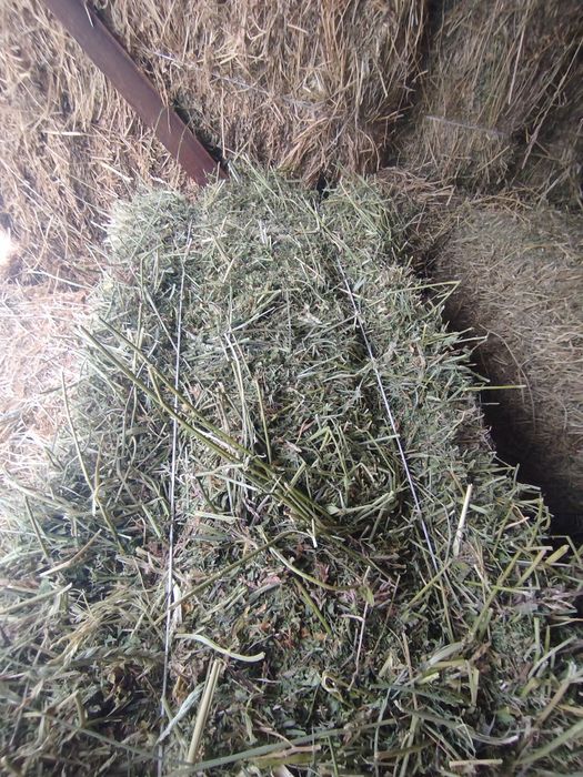 Шоп сатылады пресс