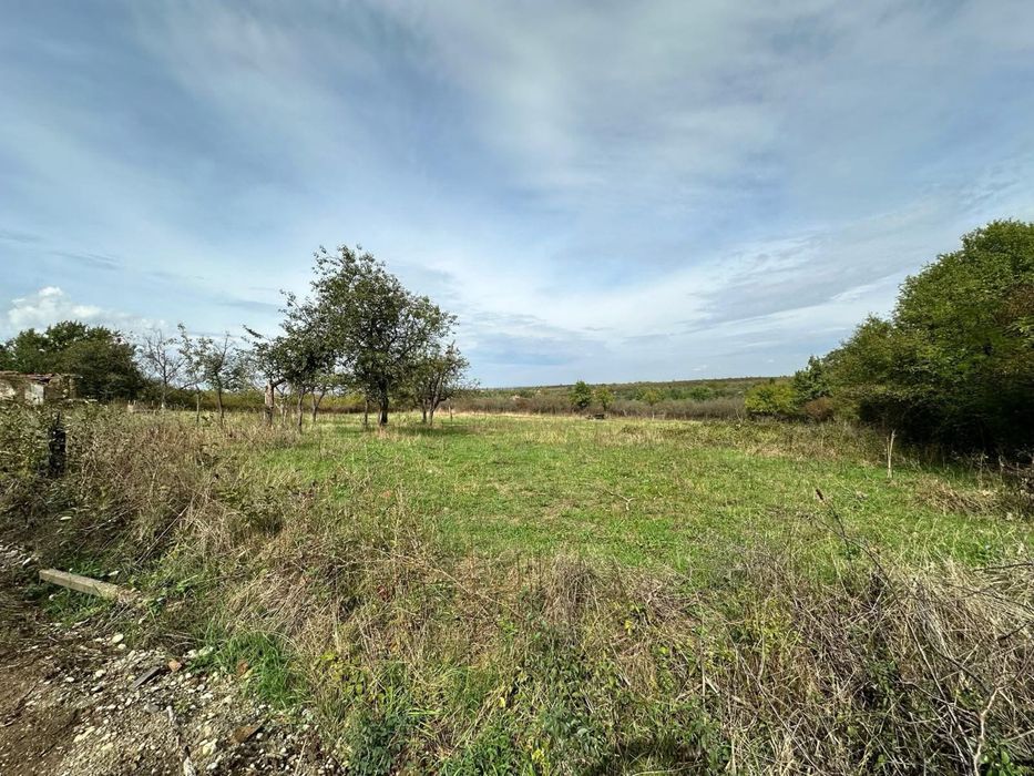 Ofer spre vanzare teren Intravilan în Viile Satu Mare