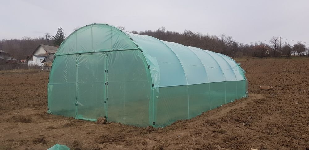 Arcade,solare legume