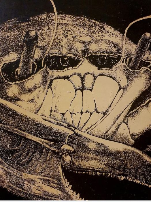 O lucrare rară de grafica semnată Nicolae Saftoiu, martie 1980. Tulcea