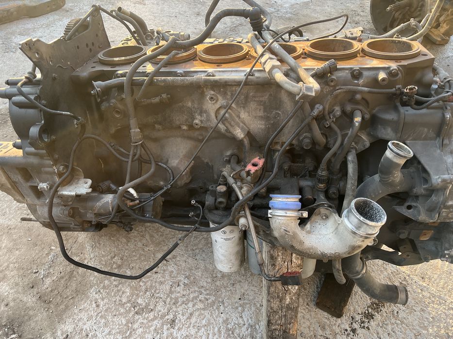 Reno Premium DXI 440