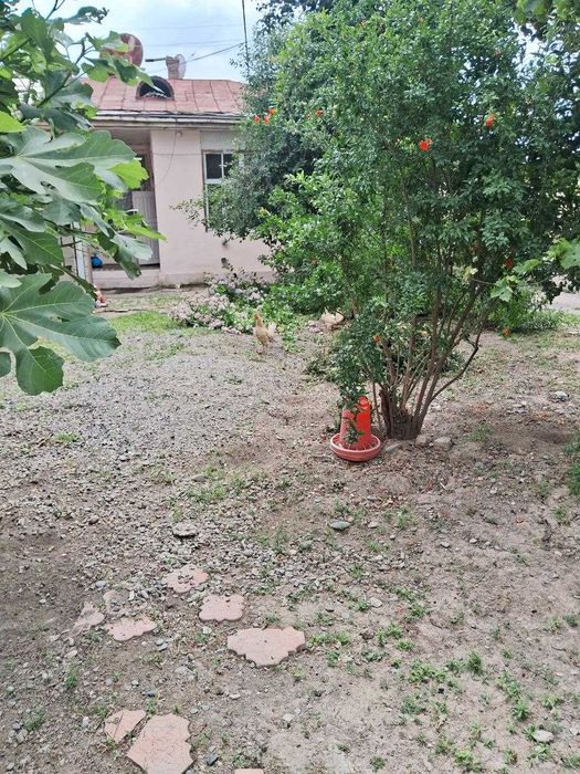 №3919.Продается Дом.