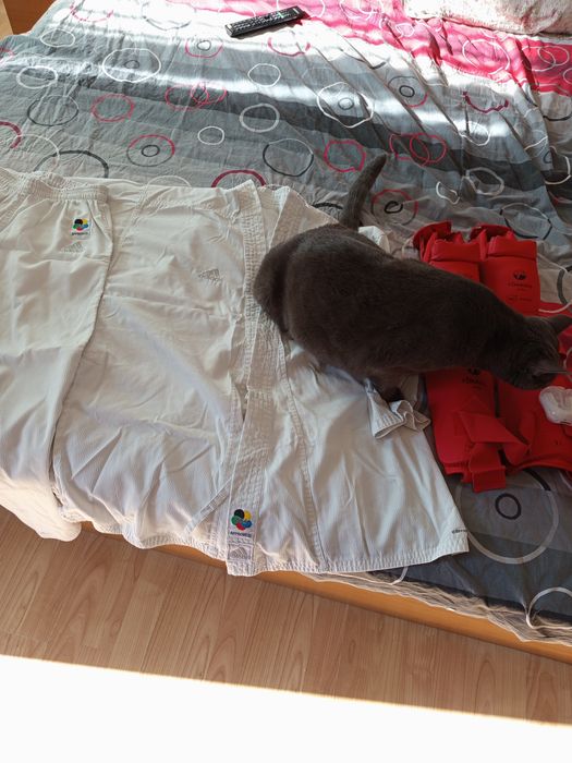 Кимоно Adidas  със всичко на снимката