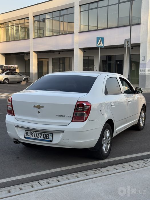 Cobalt Ltz 2021