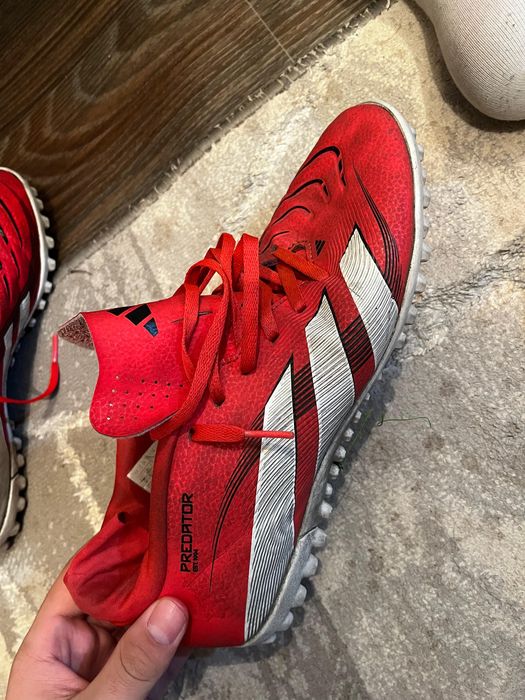 Сороконожки (шиповка) оргинал