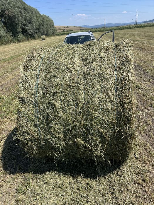 Vând baloți de lucernă cu frunză, fân și paie – Calitate superioară