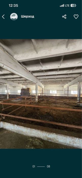 Продаю ферму в Кибрае