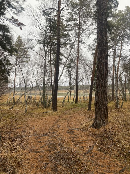 Продажа земельного участка срочно