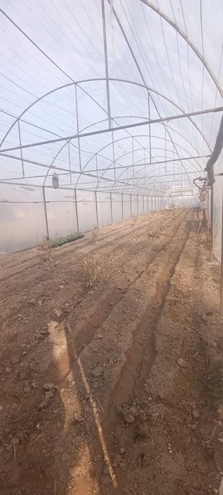 Issiqxona, теплица sotiladi