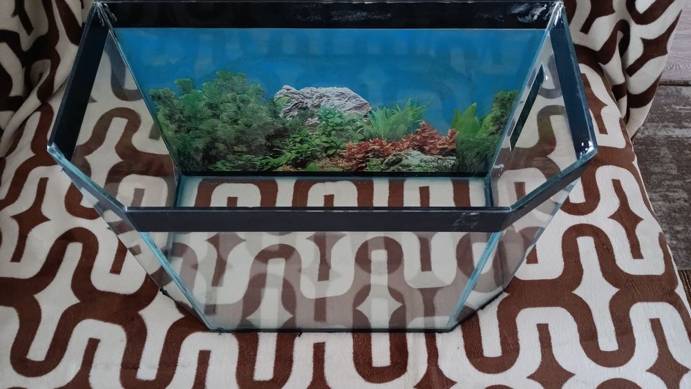 Аквариум 30 литров