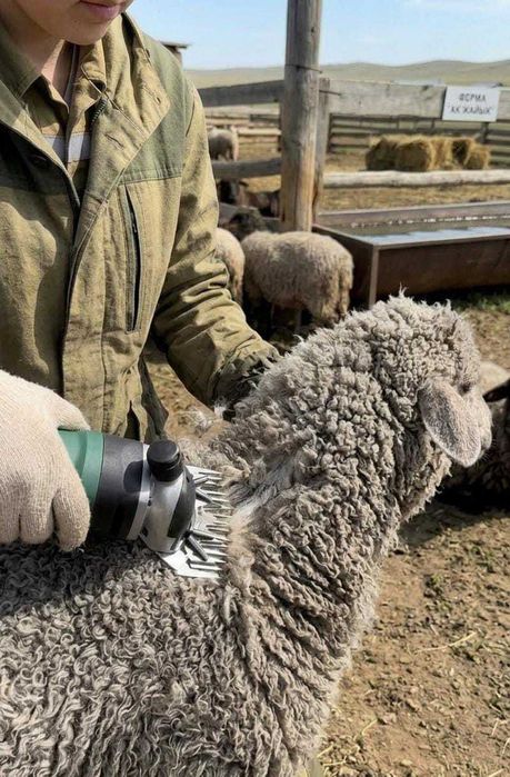 машинка для стрижки овец Bai-Bala