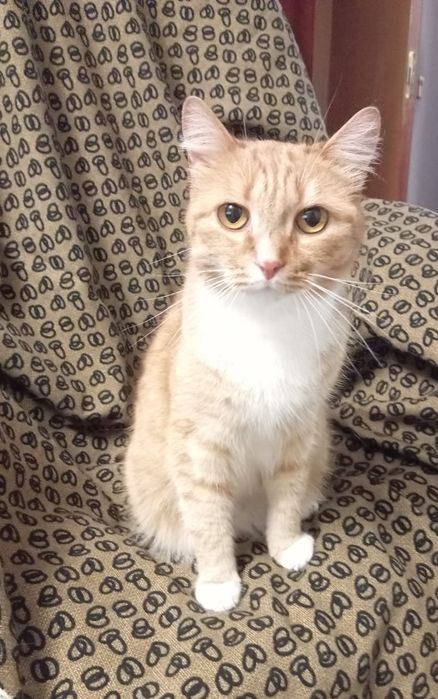 Зайка ищет свою семью.