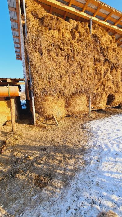 Vând Baloți / Fân