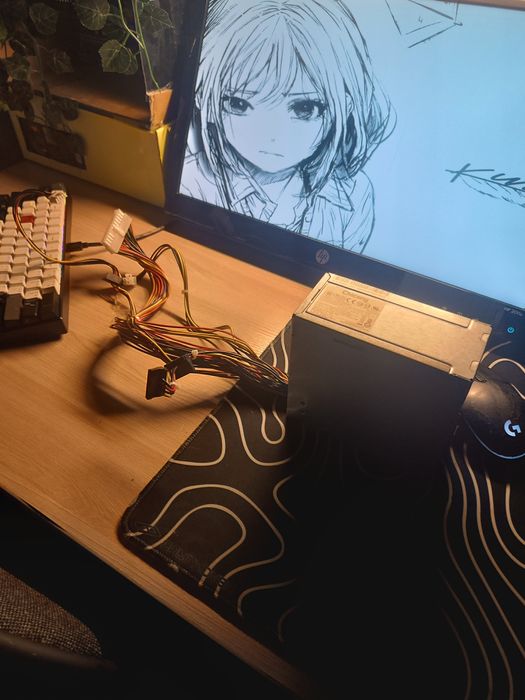 блок питания Chicony 300ватт