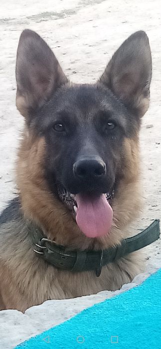 Итке отход ет бар