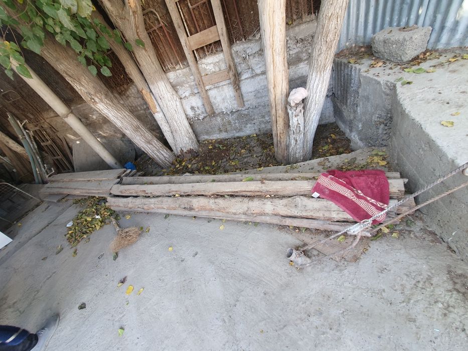 Õtinlar bollorlar barchasi sotiladi.