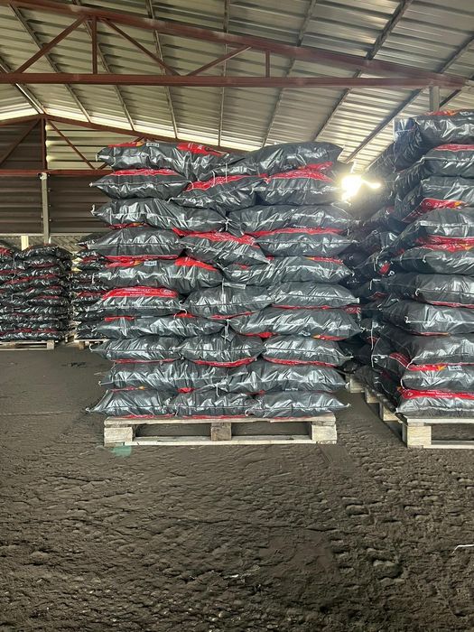 Carbune lignit  ou brichete .