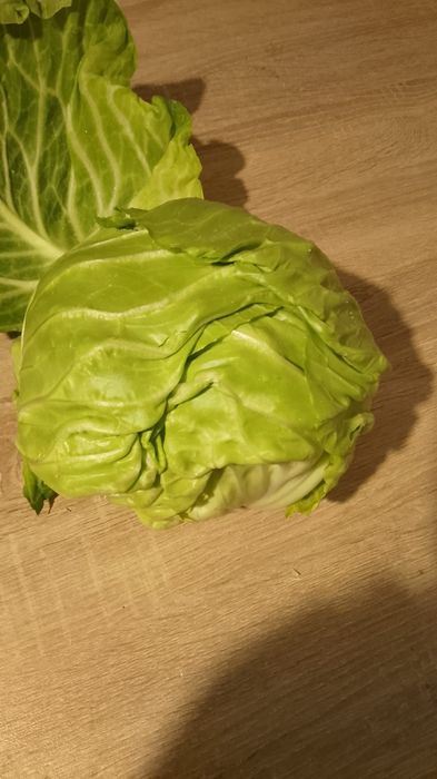 Varza zarisima  doba