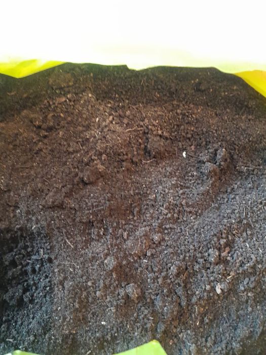 Продам биогумус.