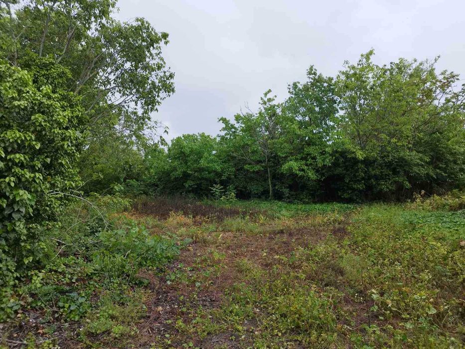 Стара къща в с. Българево, Каварна