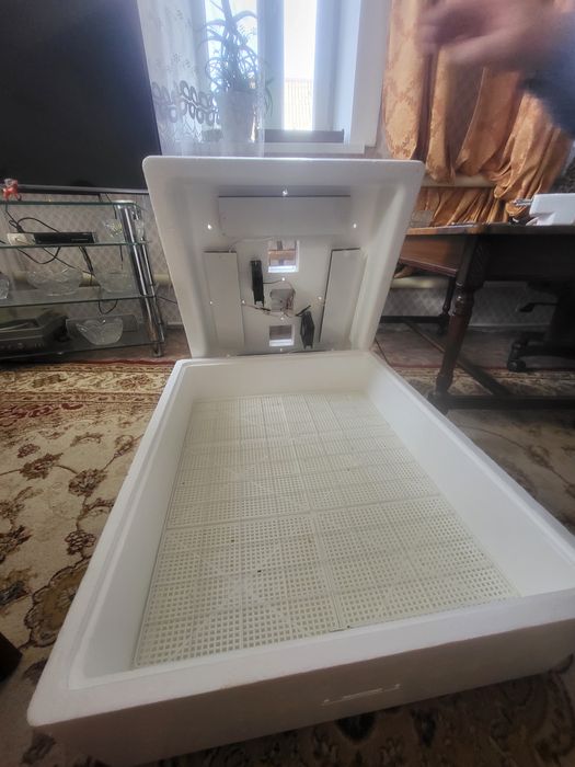 Несушка для циплят