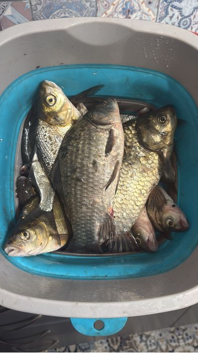 Зимний Дом. Бухтарма