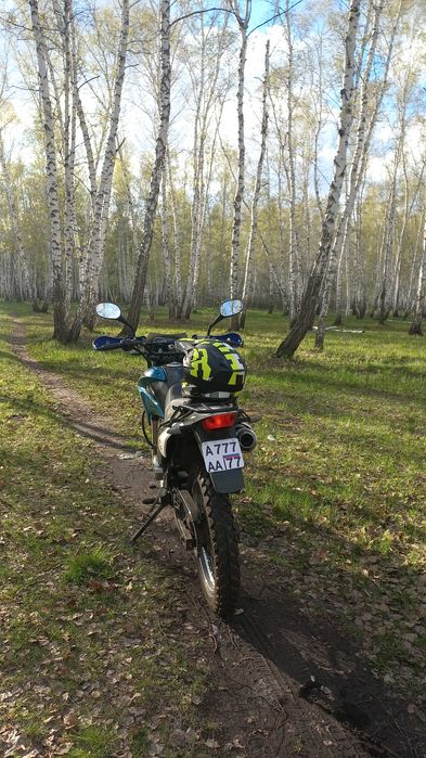 Продам яки торнадо