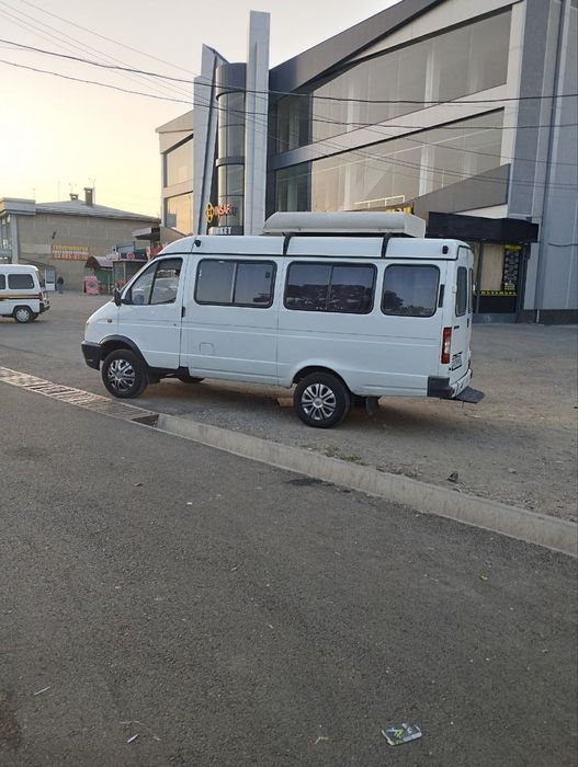 Gazel tayyor oq rang