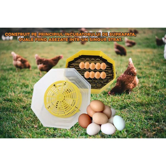 Incubator electric oua, CLOCITOARE, INTOARCERE oua TERMOMETRU Cleo 5DT