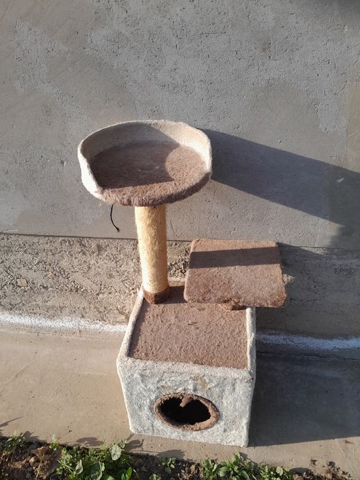 Продаётся дом для катов