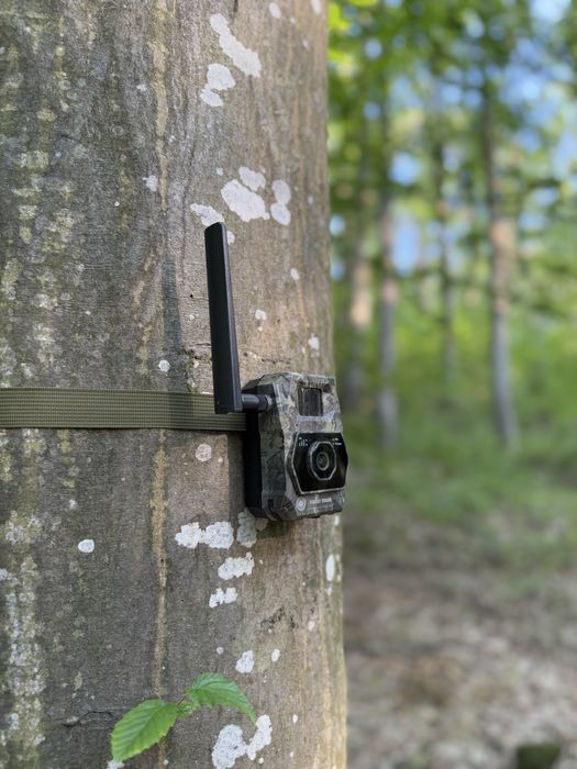 Camera vanatoare Forestvision live Alpha 4G cu GPS si transmitere libe