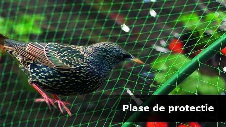 Plasa Protectie Culturi=ANTIPASARI = 2m ;4m ; 8m; 12m; 20m