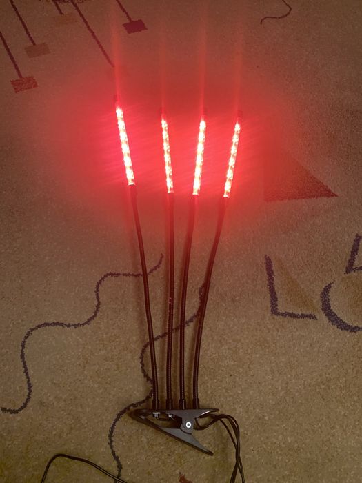 Фитолампа для рассады и цветов