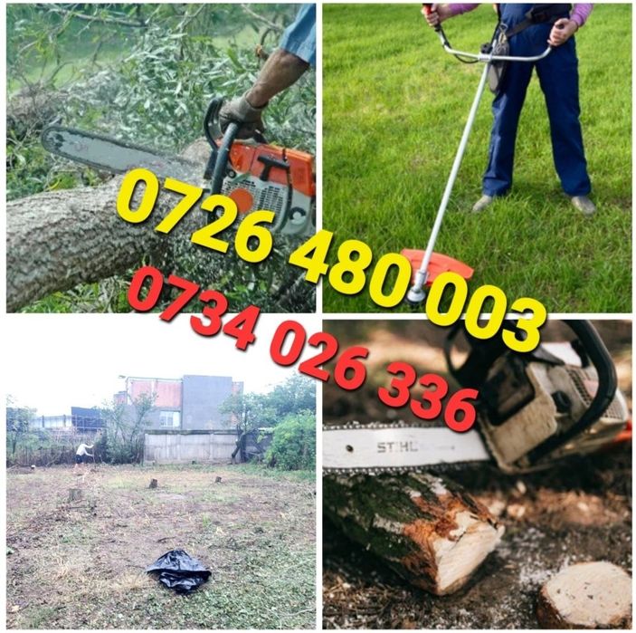 Defrisam taiem pomi copaci cu drujba defrișări terenuri iarba Bălări