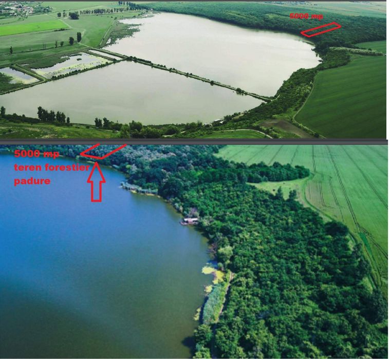 Teren extravilan/Teren forestier Frumusani