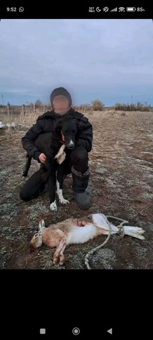 Тазы сатылады полный рабочий