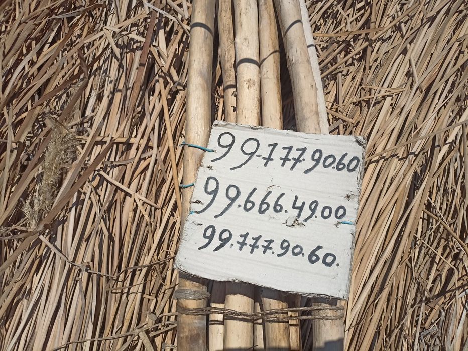 Seksual qizlar onlayn