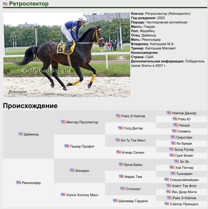 Таза қанды байтал