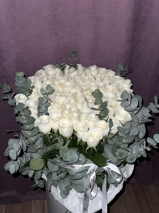Продаю цветы срочно