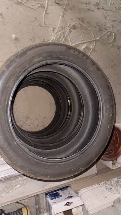 Автошины на Палисад