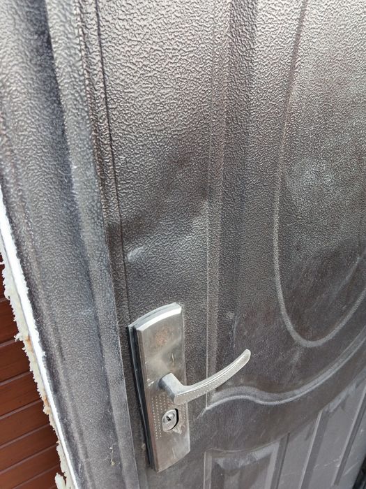 Ușă metalică intrare