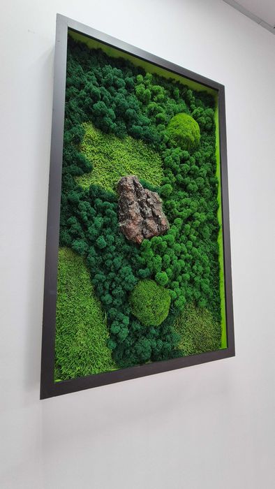Картина из стабилизированного мха