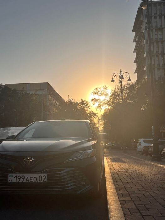 Трезвый водитель 24/7