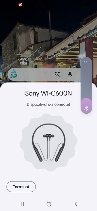 Casti wireless Sony WI-C600N