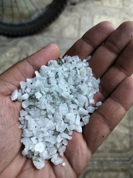 Продам или обменяю на аквариумные растения