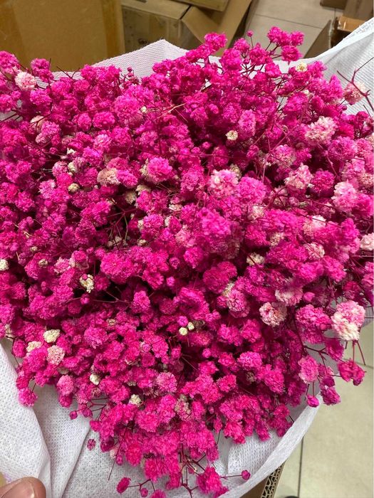 Сух гипсофил - 400 грама