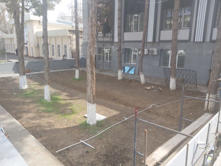 Газон уруглари ва тайёр рулонларини экиш билан шугулланамиз.